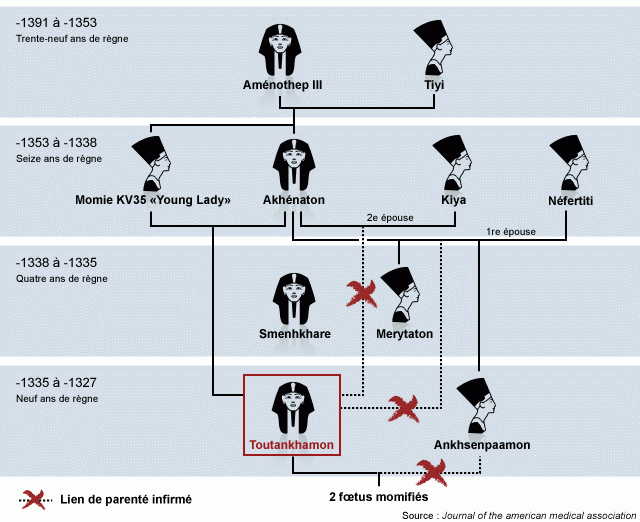 640x522_1457533_0_7ffc_ill-1307506-a7a1-genealogie-toutankhamon