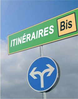 Itinerairebis