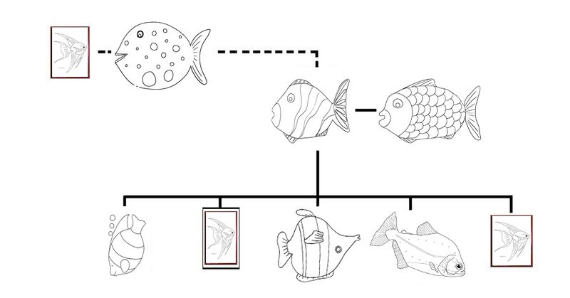 Poissonavrilgenealogique