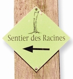 Sentier_racines